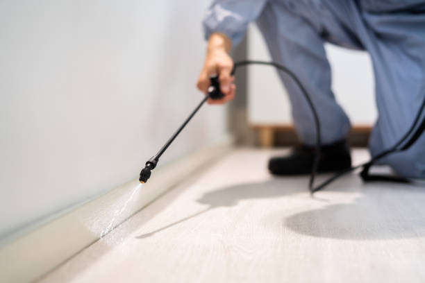 Bed Bug Pre-Treatment Preparation Assessment in South Dos Palos